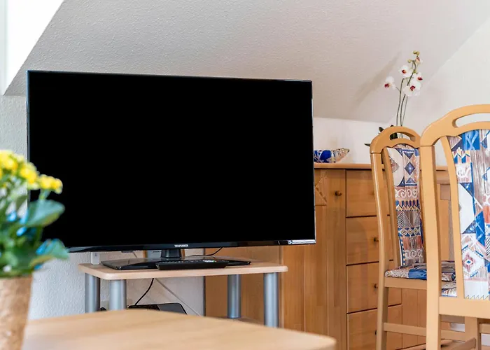 2 * Groß Zicker