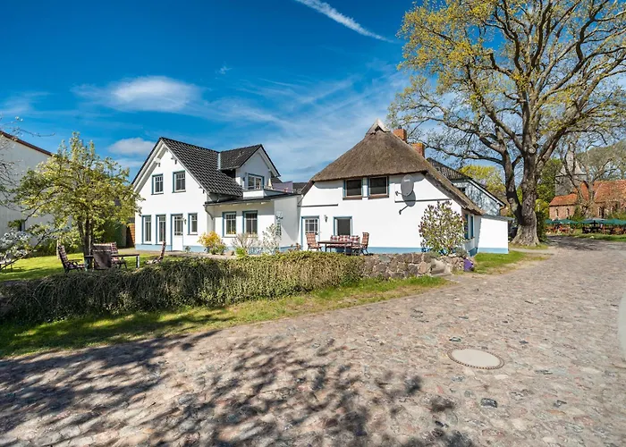 2 * Groß Zicker